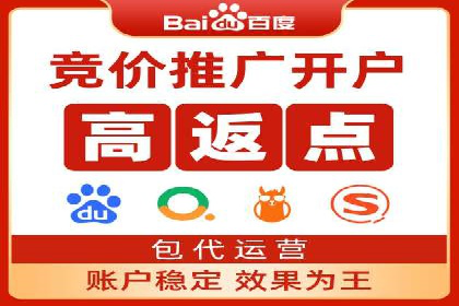 搜索引擎推广的佼佼者——百度搜索推广案例